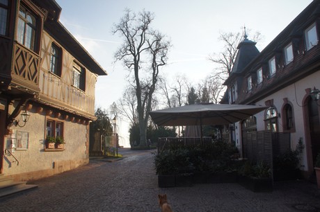 koenigstein