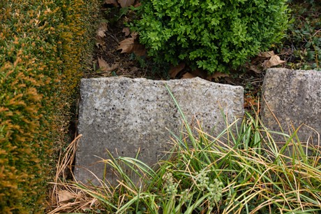 Langendorf