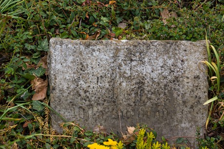 Langendorf