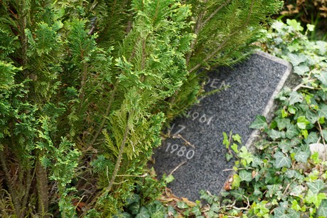 Lannesdorf