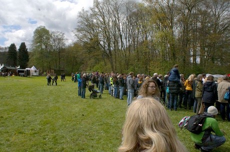 langerwehe