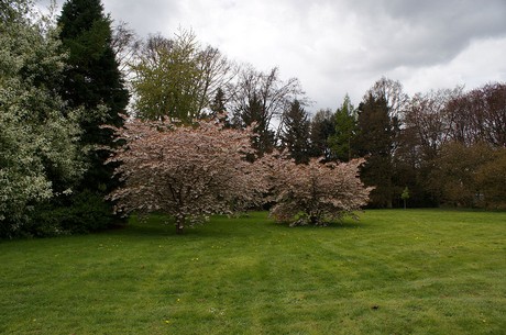langerwehe