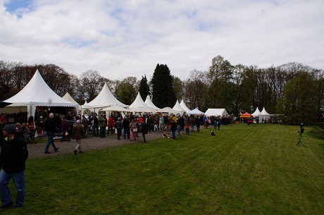langerwehe