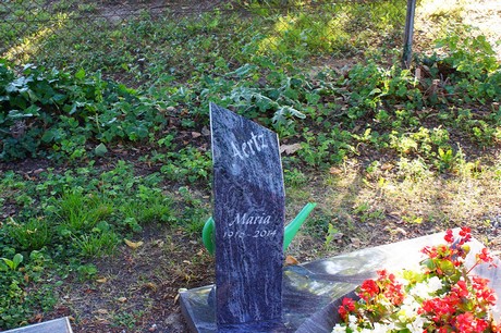 Lechenich