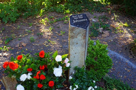 Lechenich