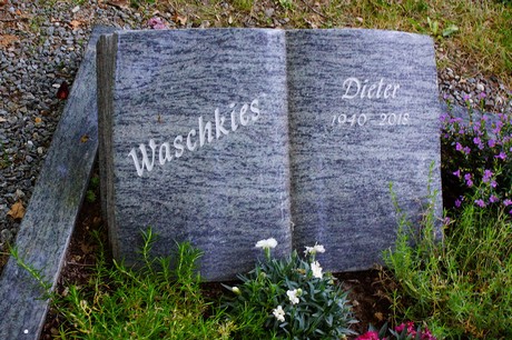 Lechenich