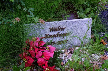 Lechenich