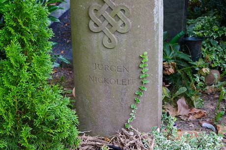 Lechenich