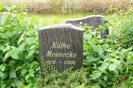 Lechenich
