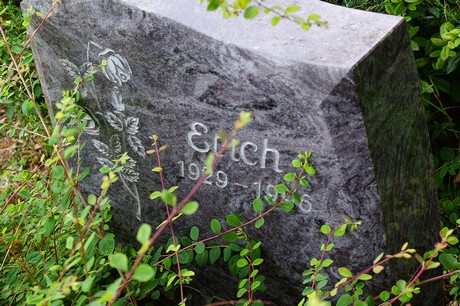 Lechenich