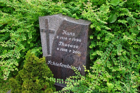 Lechenich