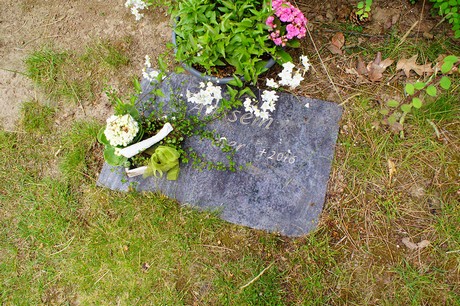 Lechenich