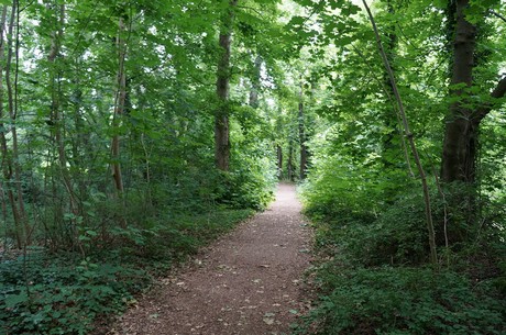 lechenich