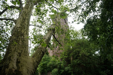 lechenich