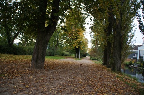 lechenich