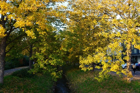 lechenich