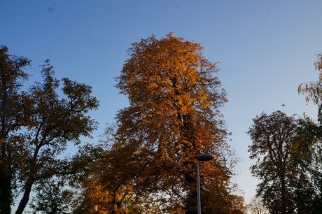 lechenich
