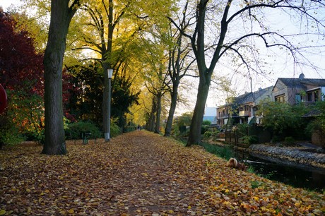 lechenich