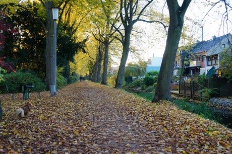 lechenich