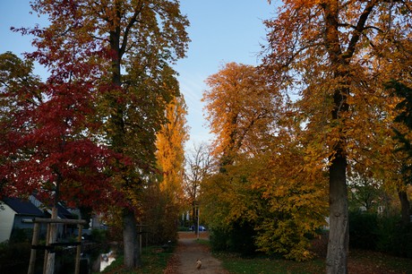 lechenich