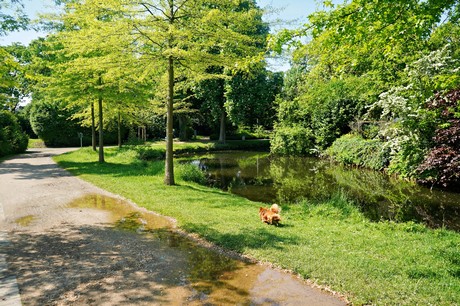 Lechenich