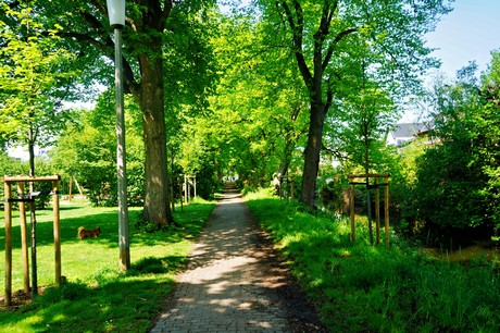 Lechenich