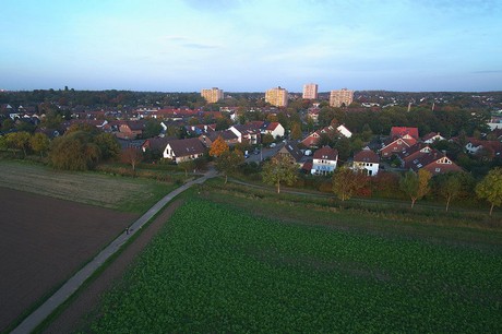 liblar
