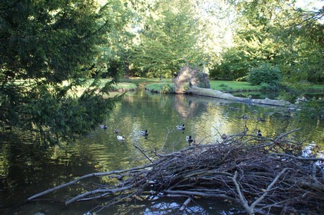 schloss-Gracht