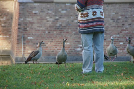 schloss-Gracht