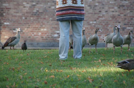 schloss-Gracht