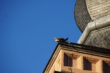 schloss-Gracht