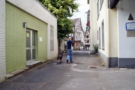 linz