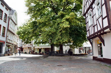 linz