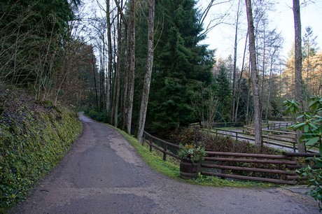 luenebach