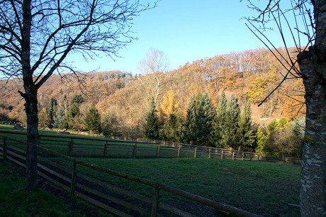 luenebach