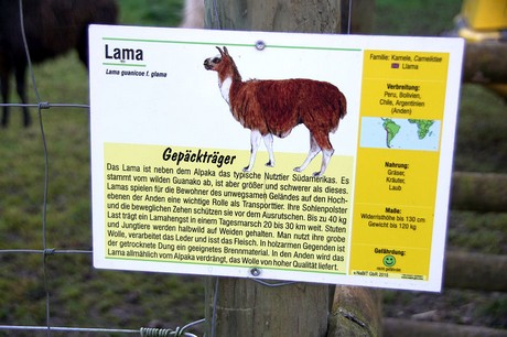 luenebach