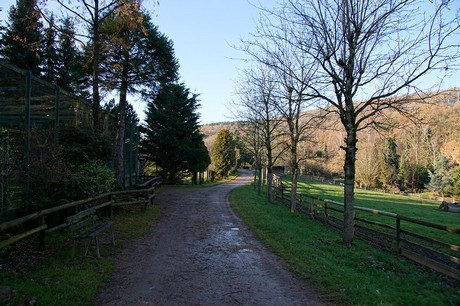 luenebach
