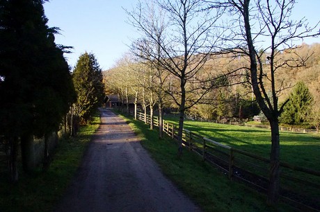luenebach