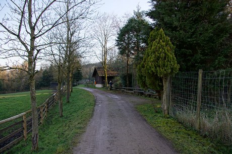 luenebach