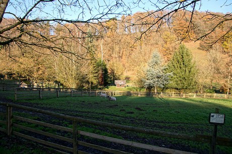 luenebach