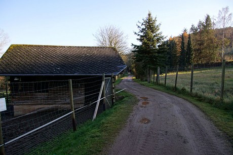 luenebach