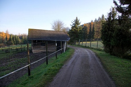 luenebach
