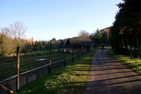 luenebach