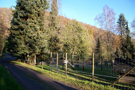 luenebach