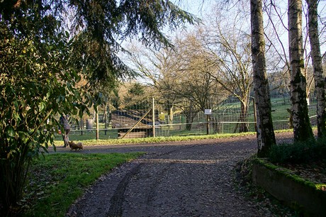 luenebach