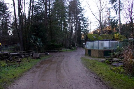 luenebach