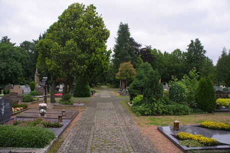 Mechernich