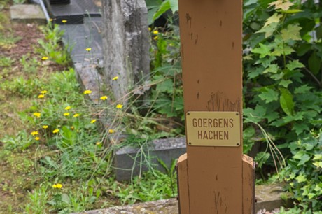 Mechernich