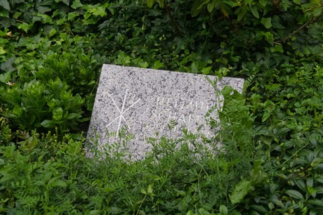 Mechernich