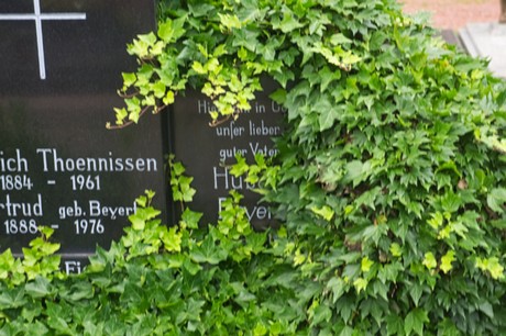 Mechernich